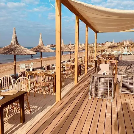 Square (adults Only)